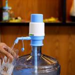 Royal Ford Water Pump