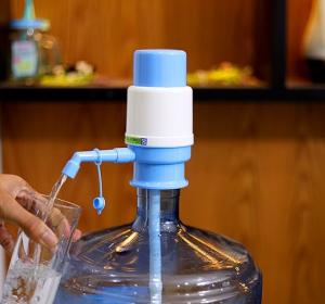 Royal Ford Water Pump